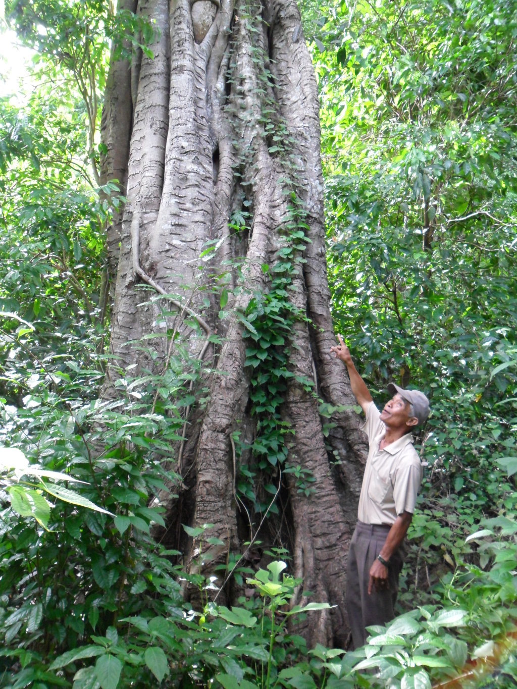 Xem ảnh lớn